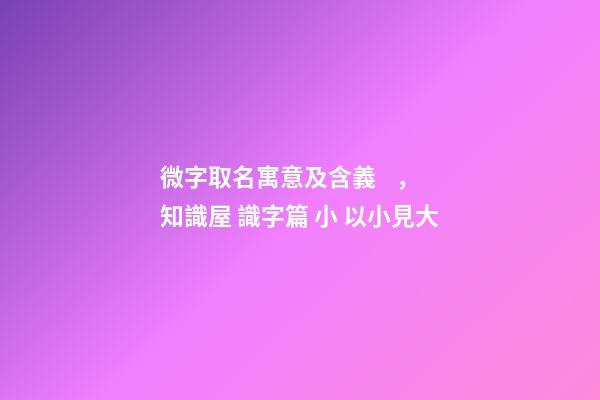 微字取名寓意及含義，知識屋 識字篇 小 以小見大